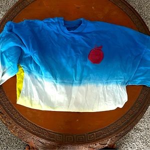 Disneyworld Spirit Jersey